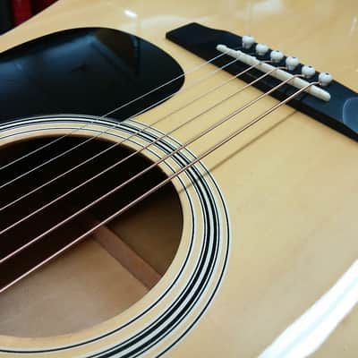 Pignose Dreadnaught Acoustic Guitar  (Natural Gloss) image 2