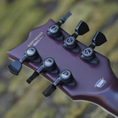 ESP E-II Viper - See Thru Black Cherry image 7