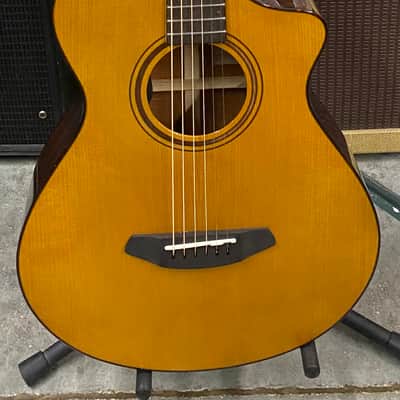2022 Breedlove Pro Performer - Spruce and Mahogany - Includes Original Hardshell Case image 1