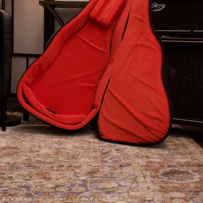 Used Gator GT-Acoustic Acoustic Guitar Gig Bag, Tan image 5