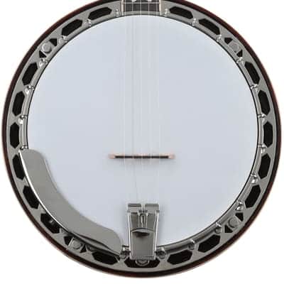 Recording King Songster Resonator Banjo - Dark Brown image 2