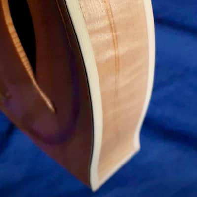 Eastman DGM1  Mandolin image 15