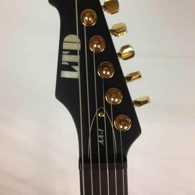 ESP LTD AA-1 Alan Ashby Signature Electric Guitar, Ebony Fingerboard, Black Satin image 3