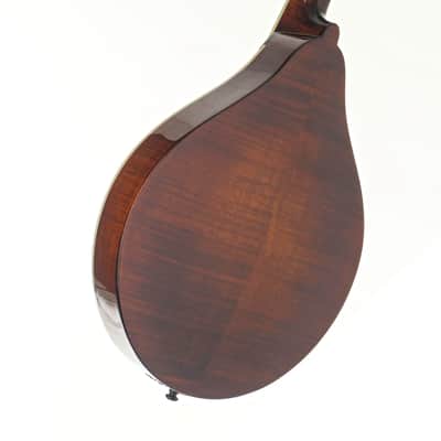 Eastman MD505 Mandolin #N2500813 image 8