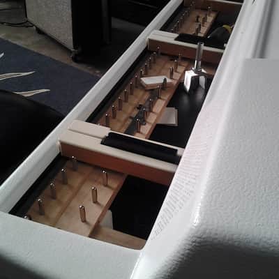 Wurlitzer Electric Piano: Custom Shop 206A (or 200A) image 11