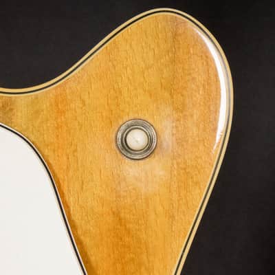 1967 Fender Coronado II Wildwood I image 2