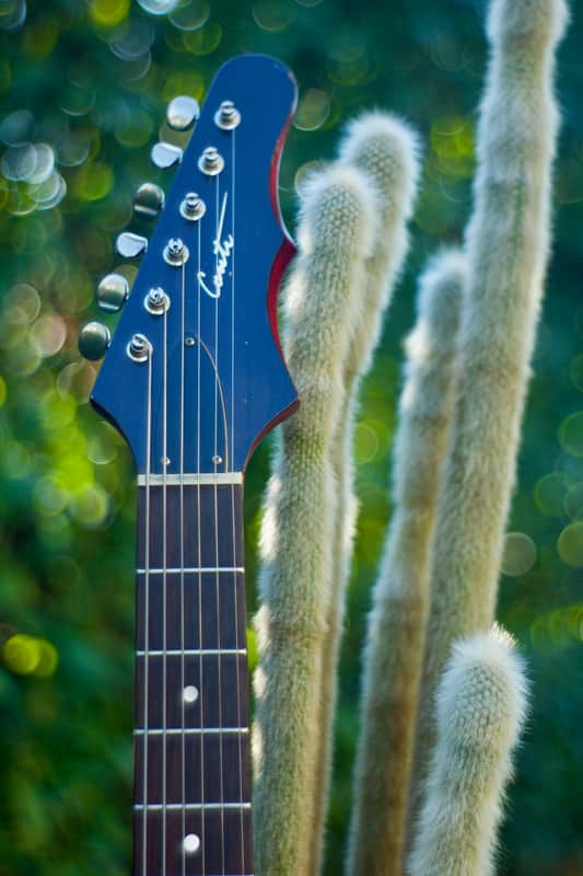 Epiphone Coronet