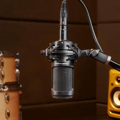 Mint Audio Technica AT2050 Multi-Pattern Condenser Microphone Bundle with 10ft XLR Pig Hog Mic Cable & Polishing Cloth – Cardioid, Omni & Figure-8 Modes for Studio Vocals, Instruments, Voice image 4