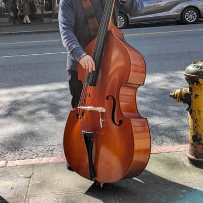Upright Bass Samuel Eastman VB80 2019 image 5