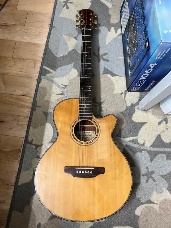 Carlo Robelli CBW4041CN Acoustic Electric Guitar Nice Inlay & Cutaway image 1