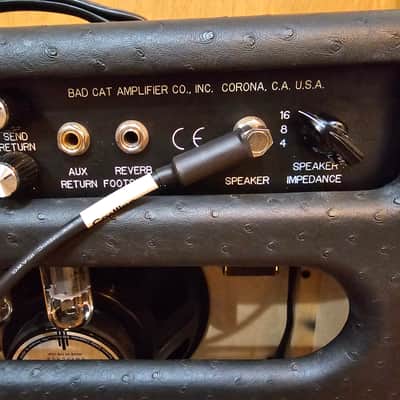 Bad Cat Hot Cat 30R RARE Ostreich Tolex image 18