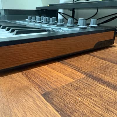 Arturia MiniLab MKIII 25-Key MIDI Controller 2022 - Present - Black image 2