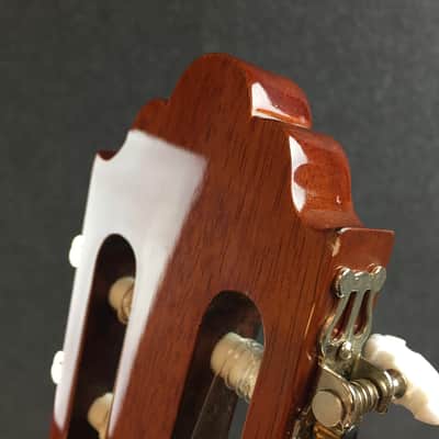 Greg Bennett CT-1CE Thin-Body All-Mahogany Classical Acoustic