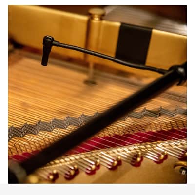 Earthworks PM40 | PianoMic System. New with Full Warranty! image 3