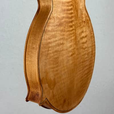 Tonedevil FM Mandolin 2026 - Tobacco Honey Amber Satin image 10