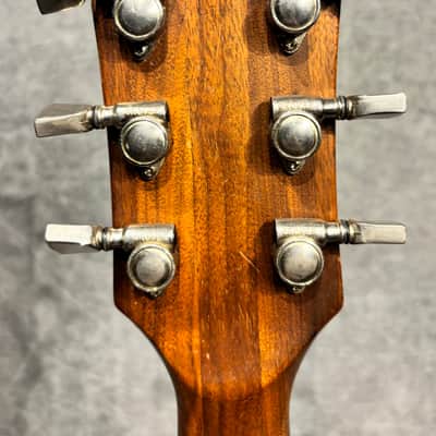 Gibson Firebrand ”The Paul” 1979 - Walnut image 7