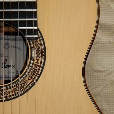 Heikki Rousu 11 string Alto guitar image 3