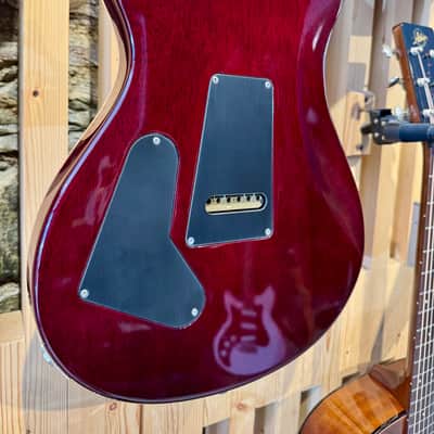 PRS 25th Anniversary Custom 24 10-Top 2010 - Angry Larry image 6