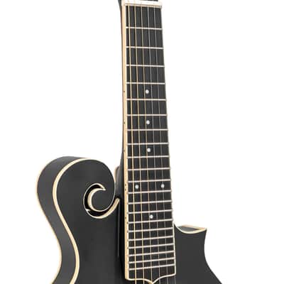 Gold Tone F-6: F-style Mando-Guitar with Pickup and Case image 5