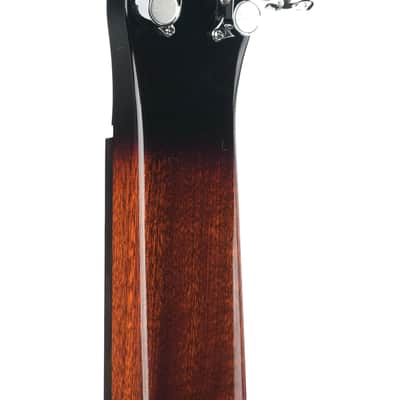 Beard Belle Squareneck Mahogany image 6