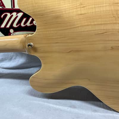 Epiphone Dot Deluxe Semi-Hollow Body Electric Guitar image 14