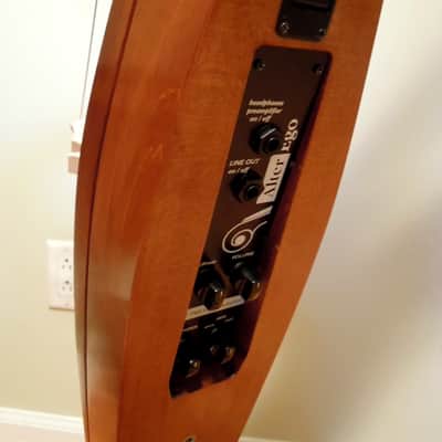 Alter Ego BASSO, hollow-body upright bass image 19