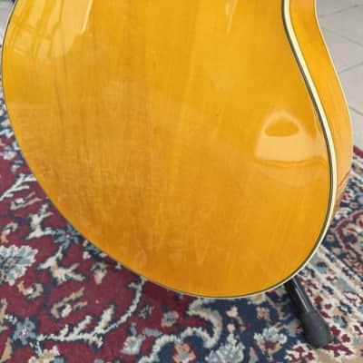 Ibanez PM2 AA Antique Amber, Pat Metheny Signature image 12