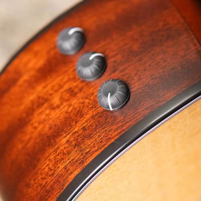 Taylor 314ce-N Grand Auditorium Nylon Acoustic/Electric Guitar with Hardshell Case image 9