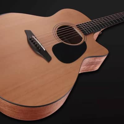 Furch acoustic guitar Blue Deluxe Gc-CM a (Ship in about 2 weeks) image 7