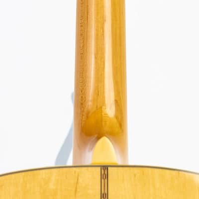 Daion MUGEN Mark III - Maple Series - Six String Acoustic image 7