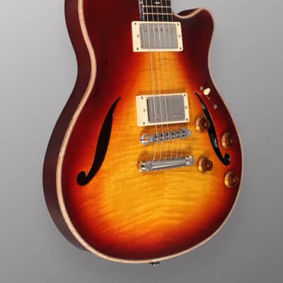CP Thornton Guitars Professional - Darkburst w/ 5A Flame Maple Top. NEW (Authorized Dealer) image 6