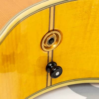 Daion The Year Series '81 Caribou - Tinted Tan (TAN) - Electric Acoustic Six String image 21