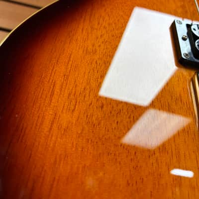 PRS SE Mike Mushok Baritone in Brown Burst image 5