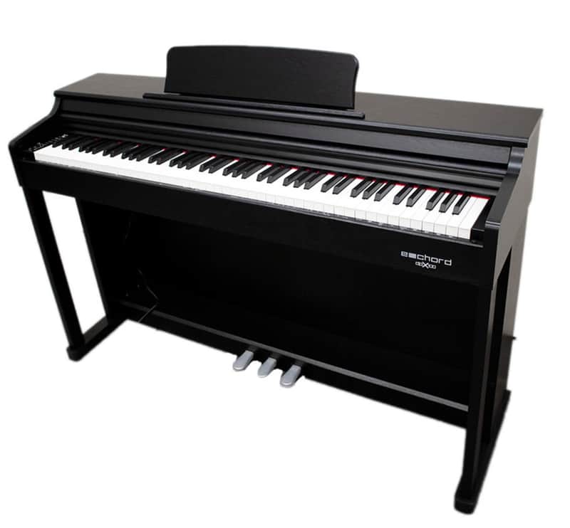 PIANO DIGITALE FBT ECHORD DPX100 NERO LUCIDO image 1