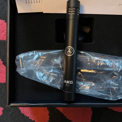 Immagine AKG P170 - 1
