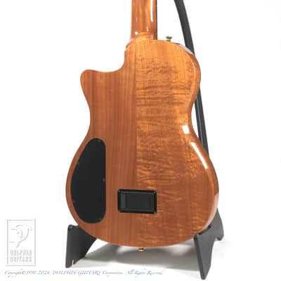 CORDOBA STAGE GUITAR (TRADITIONAL CD) image 4