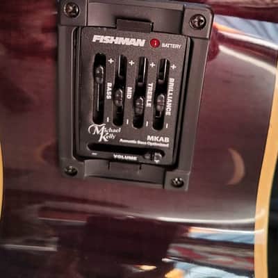 Michael Kelly Firefly Acoustic Bass - Used - Clear Black finish w/ Hardshell Case image 6