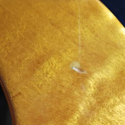 Warmoth Telecaster 2016 - Amber burled maple image 17