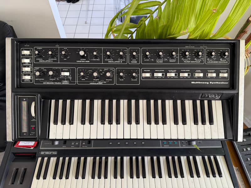 Moog Multimoog 1978 - 1981 - Black image 1