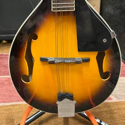 Johnson MA-100 A style Mandolin, perfect beginner instrument! image 2