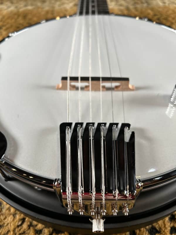 Gold Tone AC-6+ 6-String Acoustic-Electric Banjo Natural 2025 image 1
