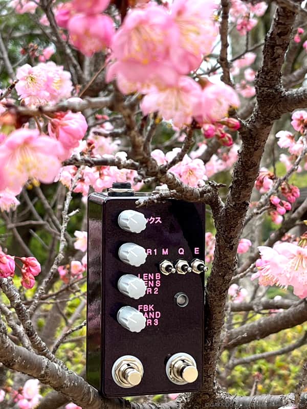 Montreal Assembly Count to 5 (Five) Japan Limited Edition [Plum