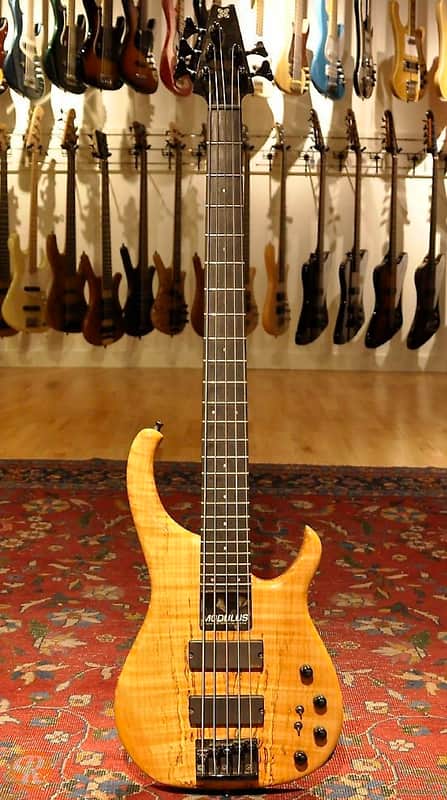 Immagine Modulus Quantum Five-String Natural 1993 - 5