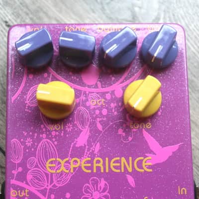 Tsakalis Audioworks "Experience Fuzz Octave" image 4