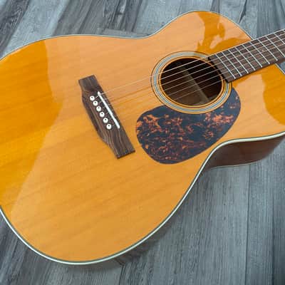Tanglewood Sundance Historic TW40-O-AN, Hard Case 2010s image 4