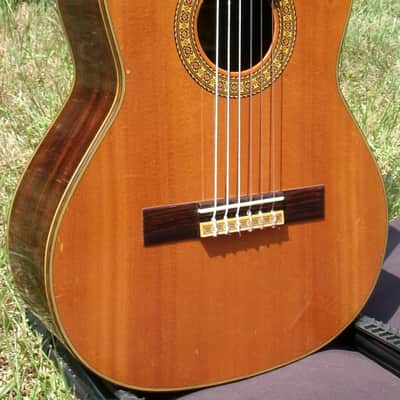 1982 Kazuo Yairi Y505A Concert Grade Classical Alto/Requinto Guitar+Soft Case image 9