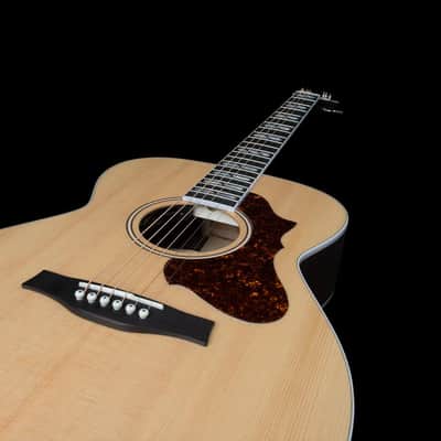 Godin Fairmount CH LTD Rosewood HG EQ, LR Baggs Electronics, Gig Bag Included image 8