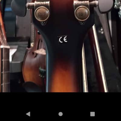 Washburn J600 image 4