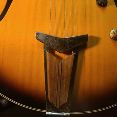 Raven Archtop Electric 1960's or early 70's - Tobacco brown sunburst image 6