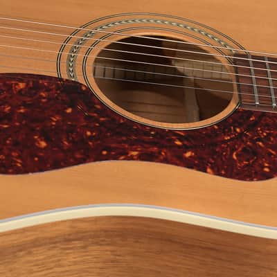 Guild DV6 NT HR 1996 - Natural | Reverb